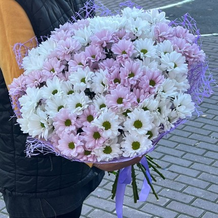 букет из розовой кустовой хризантемы - купить с доставкой в по Волоколамску
