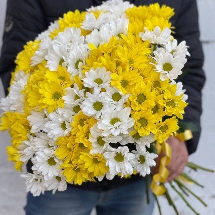 Букет из разноцветных хризантем - купить с доставкой в по Волоколамску