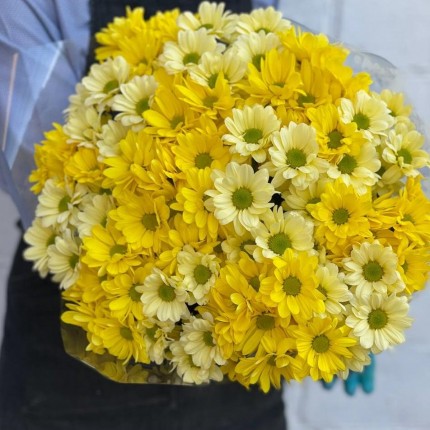 желтая кустовая хризантема - купить с доставкой в по Волоколамску